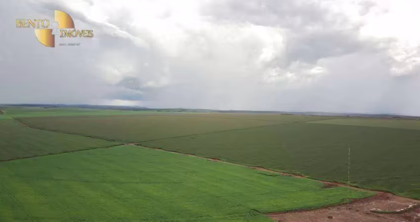 Fazenda à venda na Zona Rural, Campo Novo do Parecis 