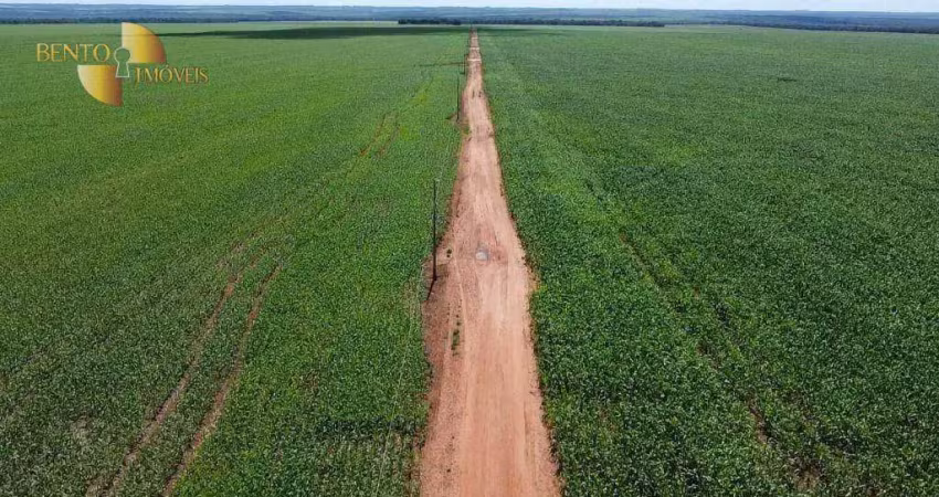 Fazenda à venda na Zona Rural, Santa Rita do Trivelato 