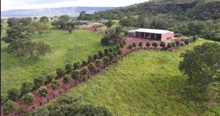 Fazenda à venda na Zona Rural, Pedra Preta 