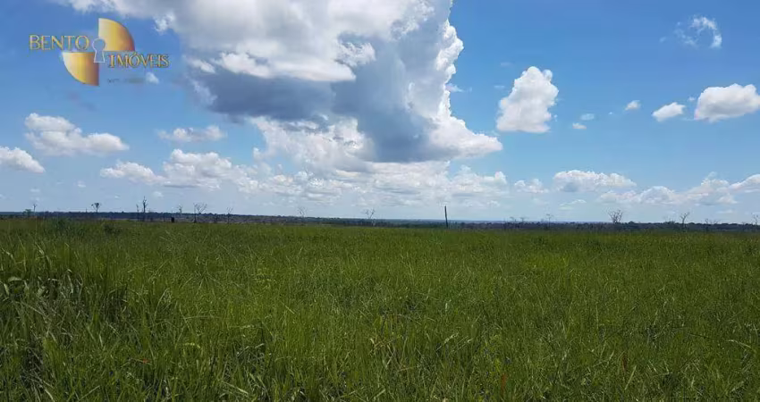 Fazenda à venda, 88800000 m² por r$ 150.000.000,00 - zona rural - sorriso/mt