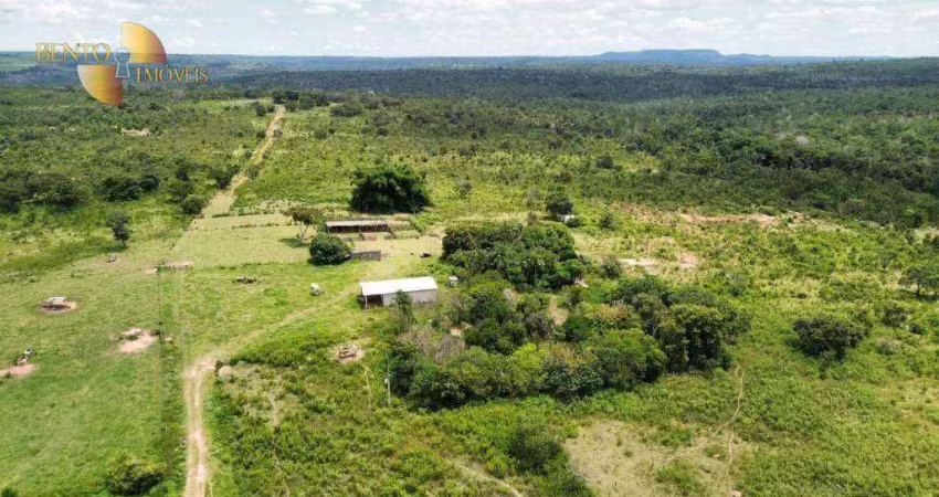 Fazenda à venda no Centro, Tesouro 