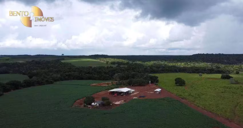 Fazenda à venda na Zona Rural, Primavera do Leste 