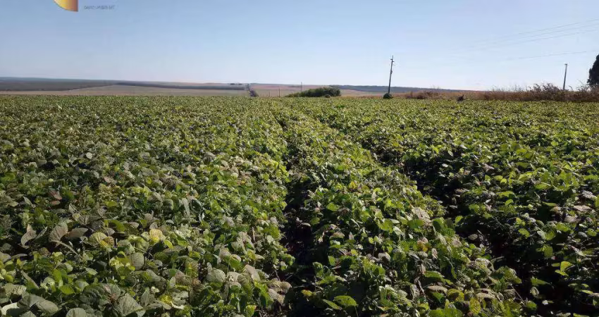 Fazenda à venda, 21600000 m² por r$ 86.000.000 - zona rural - campos de júlio/mt