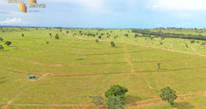 Fazenda à venda no Centro, Guiratinga 