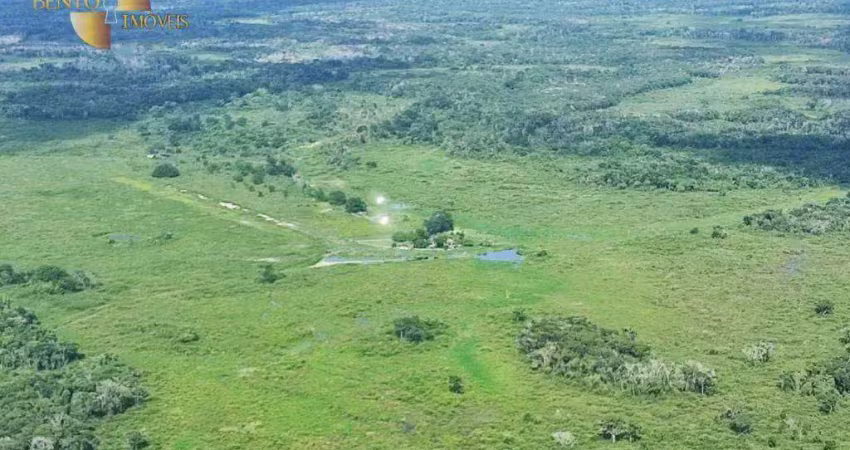 Fazenda à venda, 34180000 m² por r$ 10.083.100,00 - zona rural - poconé/mt