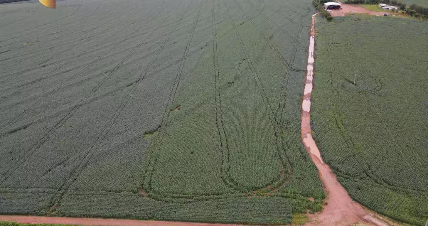 Fazenda à venda na Zona Rural, Novo São Joaquim 
