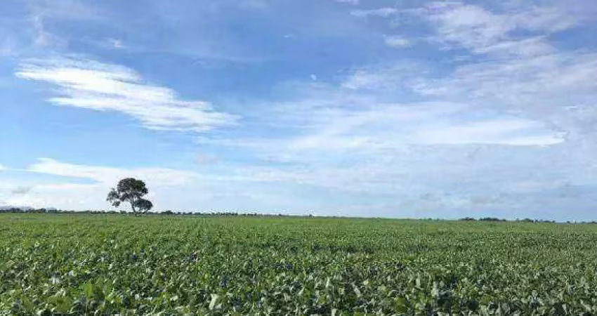 Fazenda à venda na Zona Rural, Mundo Novo 