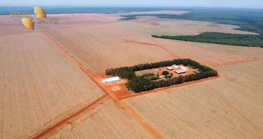 Fazenda à venda na Zona Rural, Bom Jesus do Araguaia 