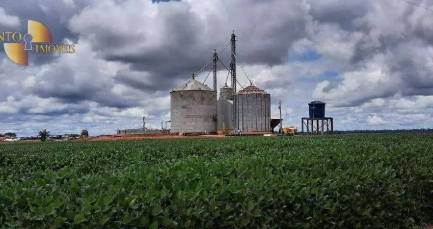Fazenda à venda na Zona Rural, Juara 