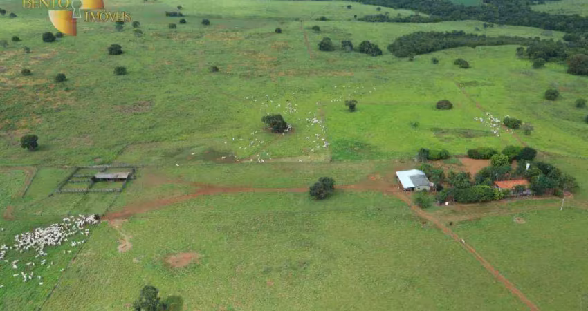 Fazenda à venda, 7850000 m² por r$ 19.000.000 - zona rural - canarana/mt