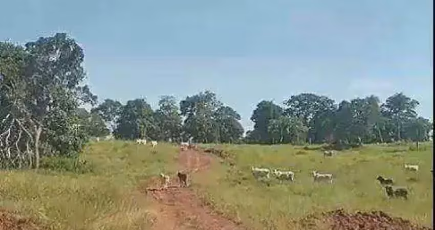Fazenda à venda, 5565000 m² por r$ 18.500.000 - zona rural - rondonópolis/mt