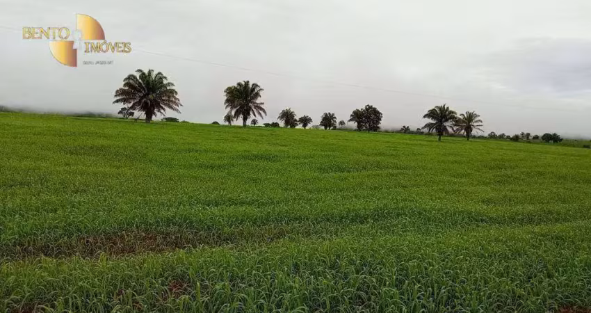 Fazenda à venda, 7990000 m² por r$ 60.000.000 - zona rural - rondonópolis/mt
