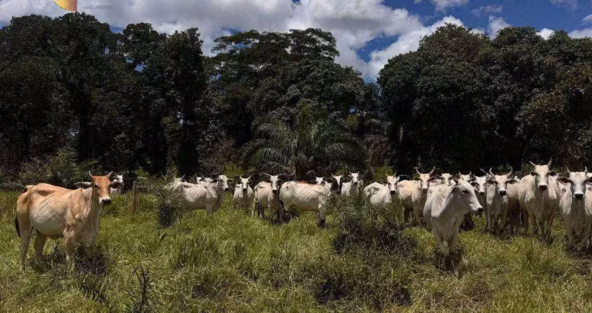 Fazenda à venda, 3440000 m² por r$ 6.880.000 - cangas - poconé/mt