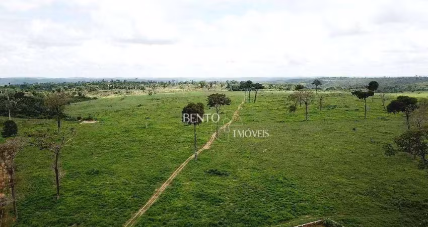 Fazenda à venda, 42700000 m² por r$ 120.000.000,00 - zona rural - nova monte verde/mt