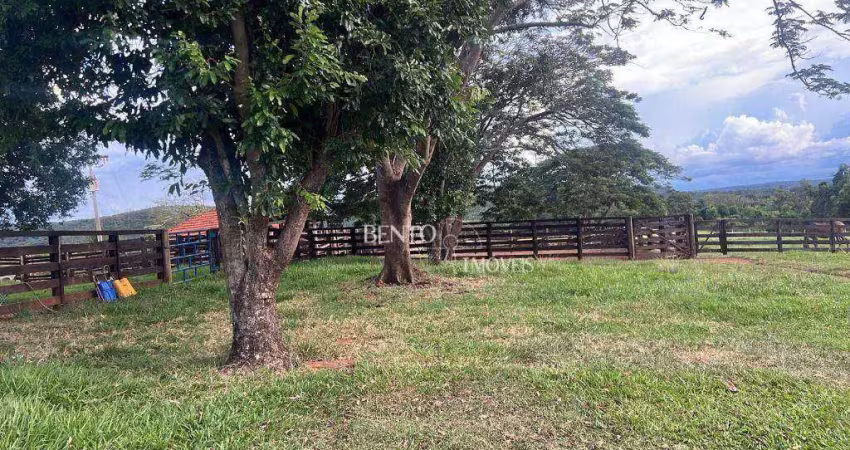 Fazenda à venda na Avenida Manoel Afonso Cancela, Zona Rural, Ituiutaba
