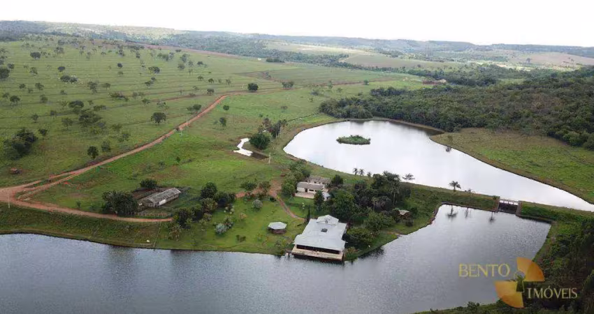 Fazenda à venda na Zona Rural, Bela Vista de Goiás 