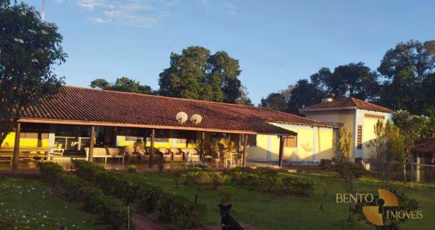 Fazenda à venda na Zona Rural, Paraíso do Tocantins 
