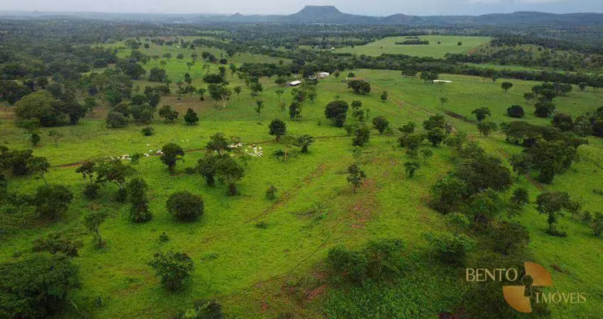 Fazenda à venda, 5000000 m² por r$ 20.000.000,00 - zona rural - poxoréu/mt