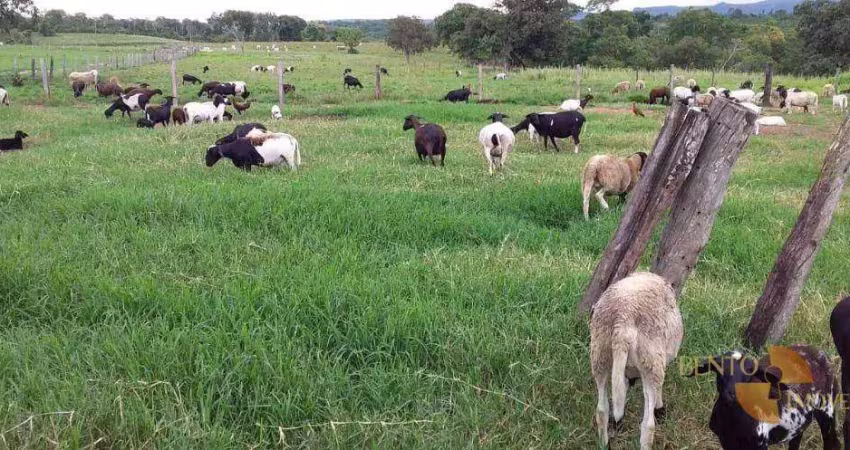 Fazenda à venda na Zona Rural, Dom Aquino 