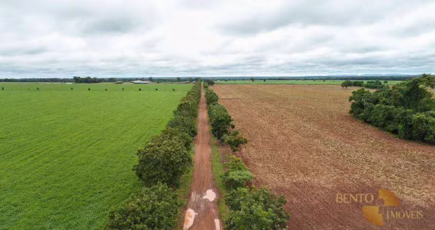 Fazenda à venda em Zona Rural, Goiás 