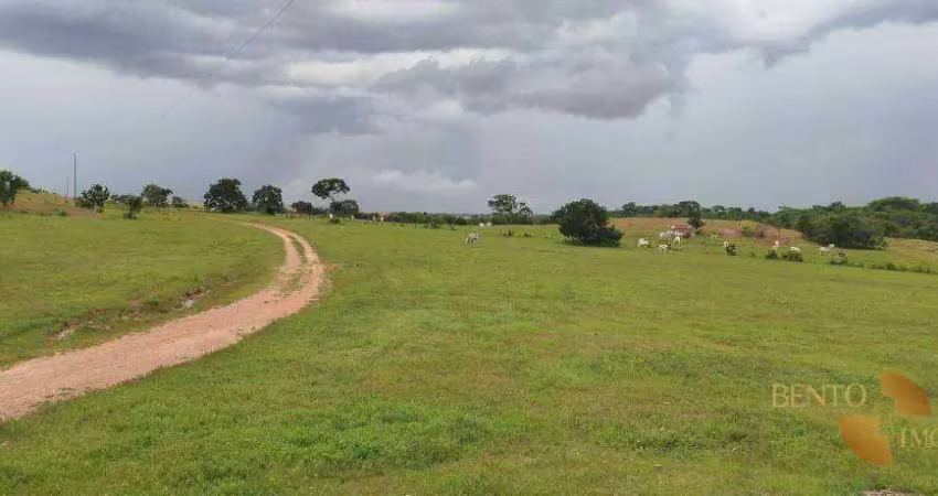 Fazenda à venda na Zona Rural, Planalto da Serra 