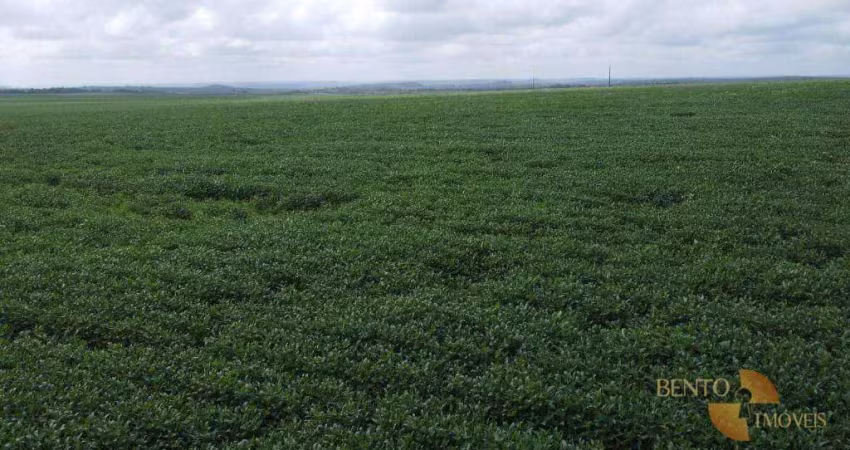 Fazenda à venda na Rua Zacarias Barros, Área Rural de Araguaína, Araguaína