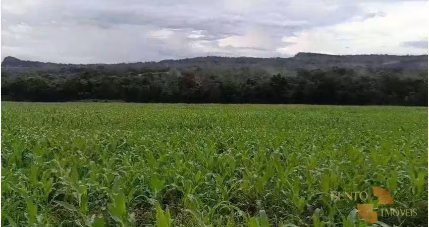 Fazenda à venda na Zona Rural, Dom Aquino 