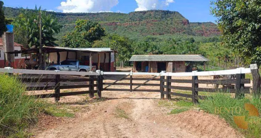 Fazenda à venda, 9120000 m² por r$ 13.700.000 - 256 - tesouro/mt