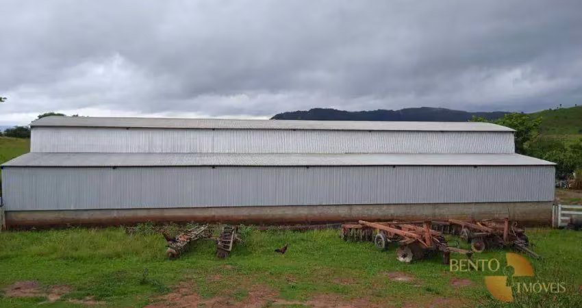 Fazenda à venda na Zona Rural, Vila Rica 