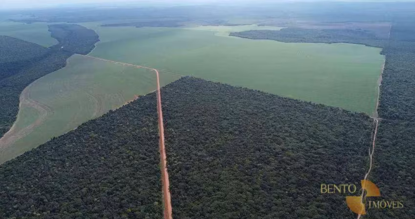 Fazenda à venda na Zona Rural, Nova Ubiratã 