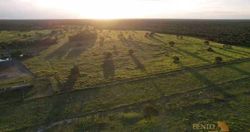 Fazenda com 1 sala à venda na Rodovia BR-364, Área Rural de Rondonópolis, Rondonópolis