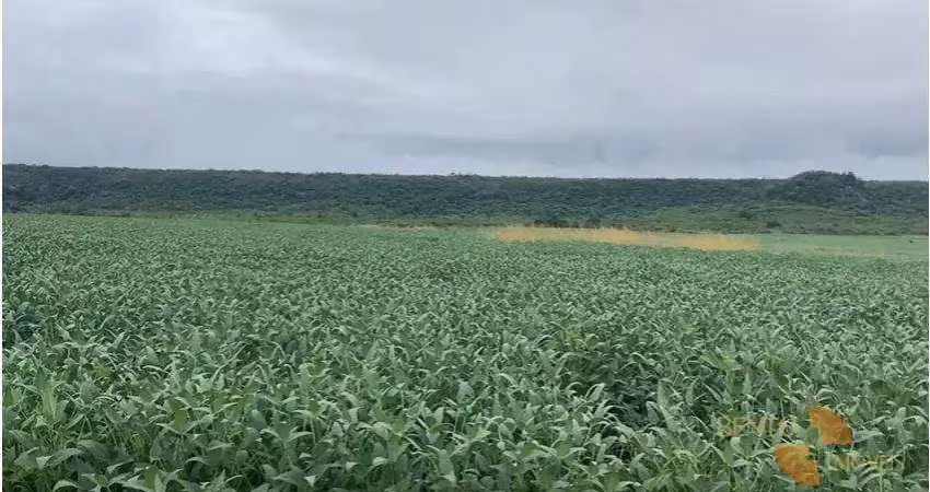 Fazenda para alugar, 35000000 m² por r$ 1.690/mês - zona rural - alta floresta/mt