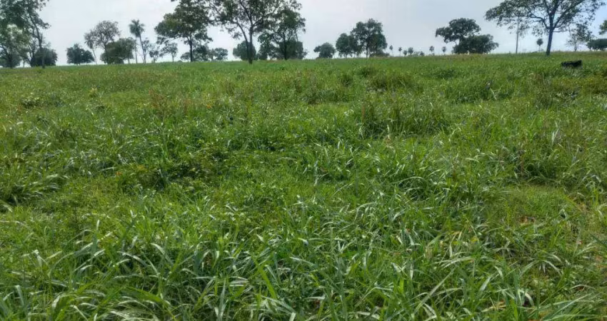 Fazenda à venda na Rua Feliciano Galdino, Área Rural de Várzea Grande, Várzea Grande