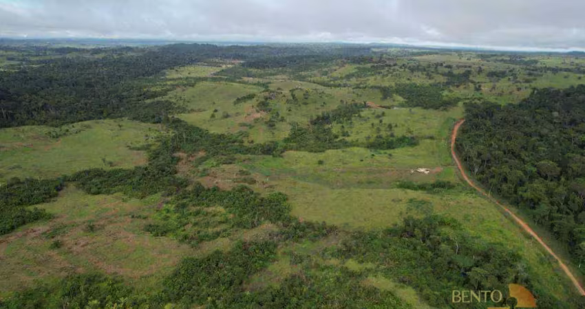Fazenda à venda, 16455000 m² por r$ 15.000.000 - zona rural - juina/mt
