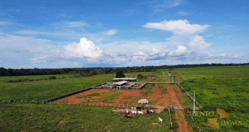 Fazenda à venda, 5620000 m² por r$ 18.000.000 - zona rural - juina/mt