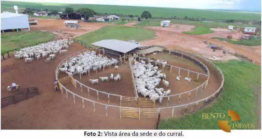 Fazenda à venda na Zona Rural, Campo Verde 