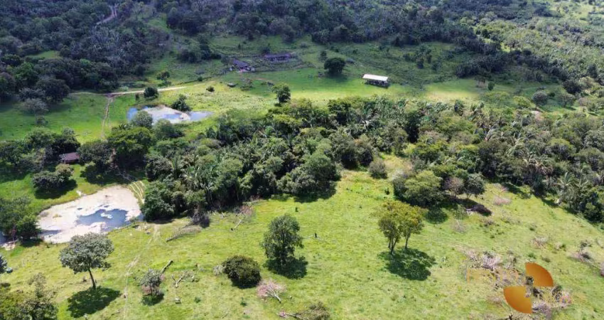 Fazenda à venda, 2150000 m² por r$ 4.500.000,00 - zona rural - santo antônio do leverger/mt