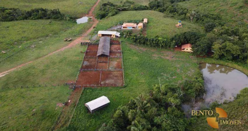 Fazenda à venda no Setor Central, Ananás 