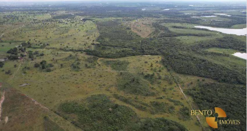 Fazenda à venda, 27600000 m² por r$ 50.000.000 - zona rural - cáceres/mt