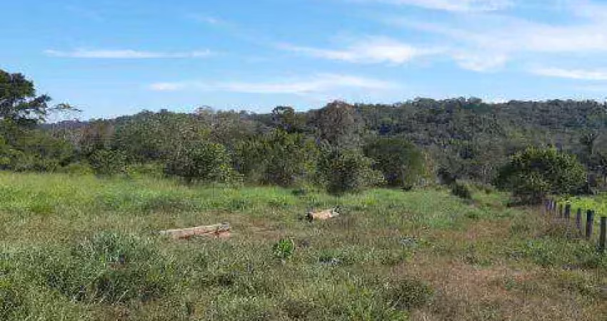 Fazenda à venda na Zona Rural, Guarantã do Norte 