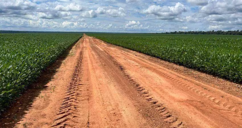 Fazenda à venda na Avenida das Embaúbas, Zona Rural, Sinop