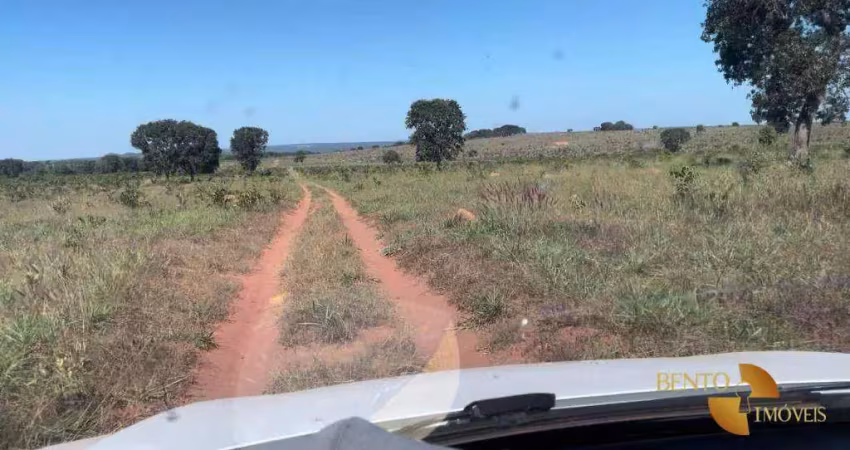 Fazenda à venda na Zona Rural, Tesouro 