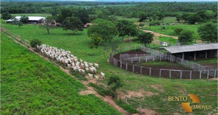 Fazenda para alugar na Zona Rural, Rosário Oeste 