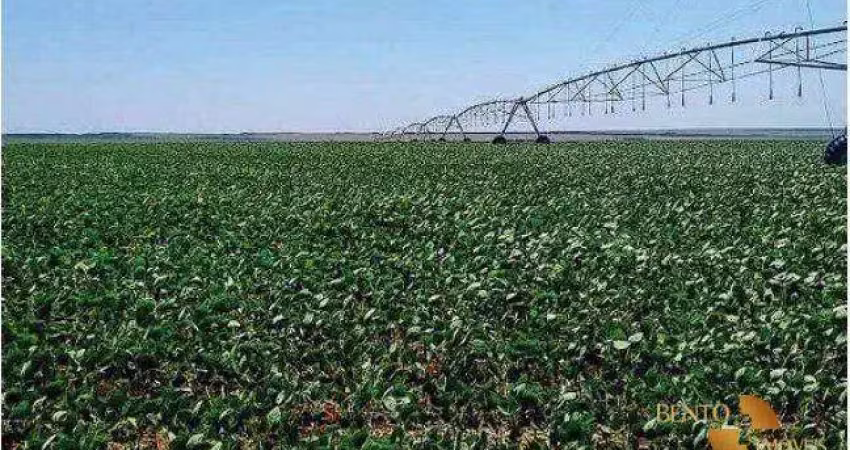 Fazenda à venda, 77940000 m² por r$ 350.000.000 - zona rural - jaborandi/ba