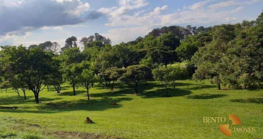 Sítio com 2 dormitórios à venda, 145000 m² por r$ 400.000,00 - centro - barão de melgaço/mt