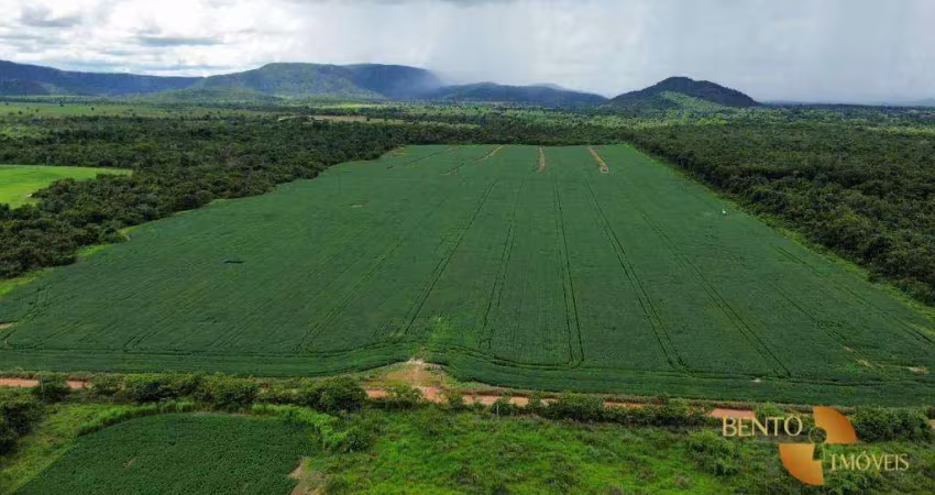 Fazenda à venda, 11850000 m² por r$ 30.000.000 - zona rural - vila rica/mt