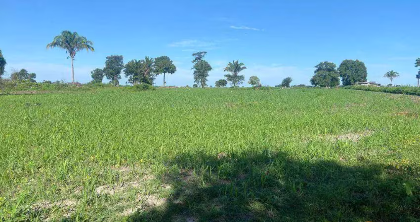 Fazenda à venda, 12100000 m² por r$ 22.000.000 - zona rural - vila rica/mt