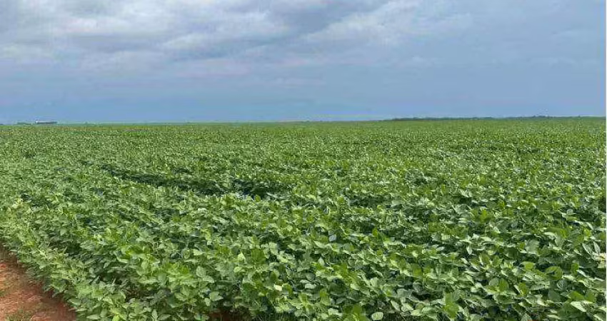 Fazenda à venda, 24000000 m² por r$ 207.000.000 - centro - tapurah/mt