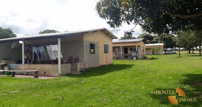 Fazenda à venda na Zona Rural, Nova Santa Helena 