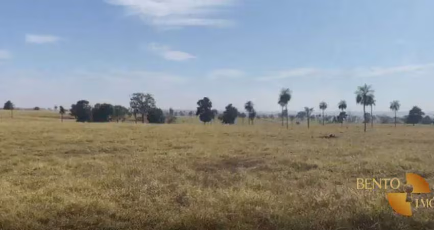 Fazenda à venda, 3070000 m² por r$ 18.000.000 - zona rural - pedra preta/mt